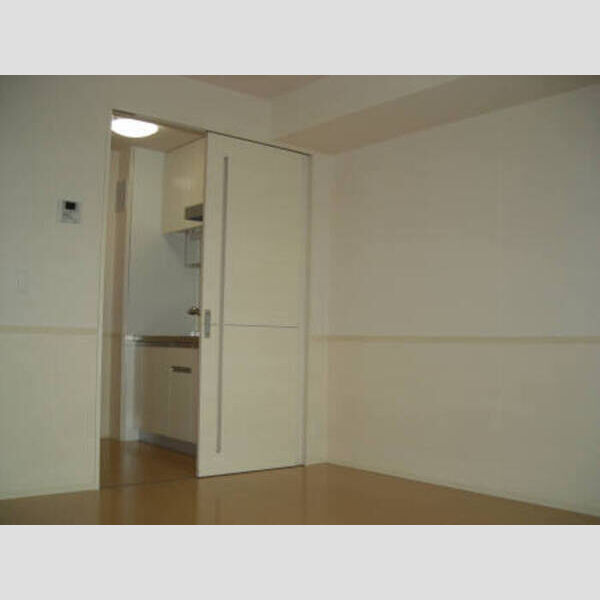 居室・リビング (LDK(※色は異なります))