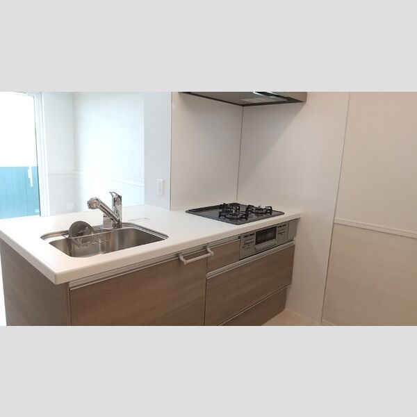 キッチン (D106　システムキッチン)