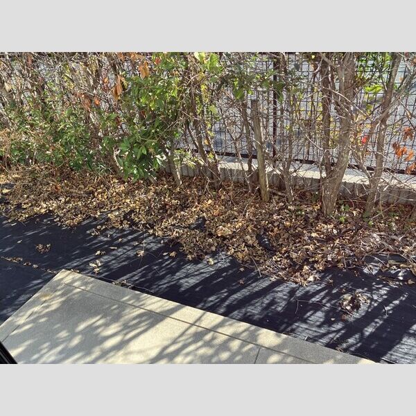 その他 (専用庭)