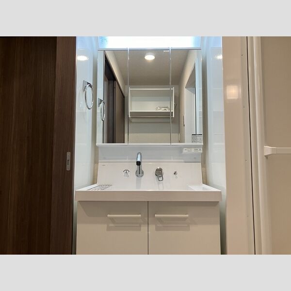 洗面所 (202　洗髪洗面化粧台)