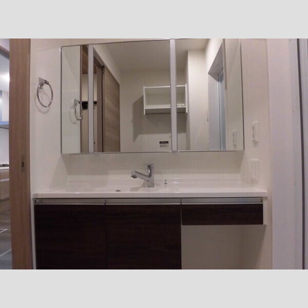 洗面所 (洗髪洗面化粧台)