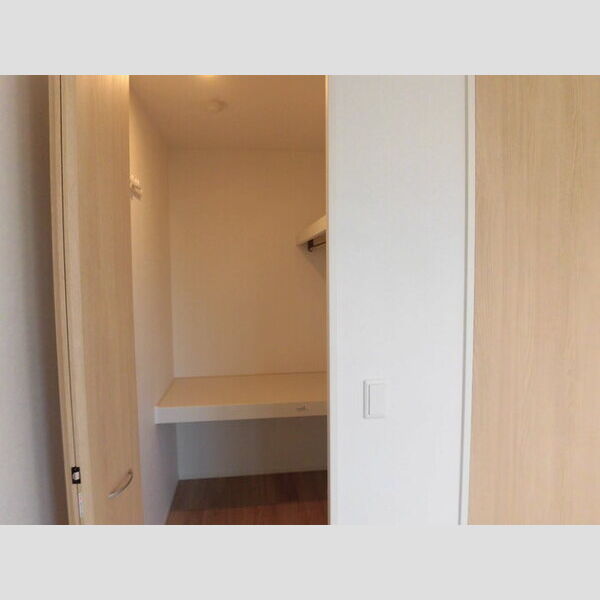 その他 (ウォークインクローゼット)