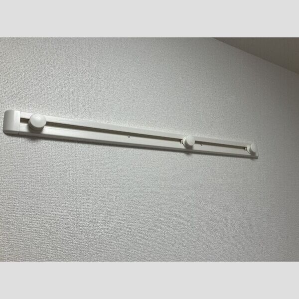 その他 (ハングバー)