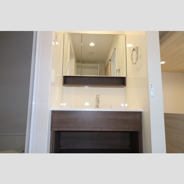 洗面所 (洗髪洗面化粧台)