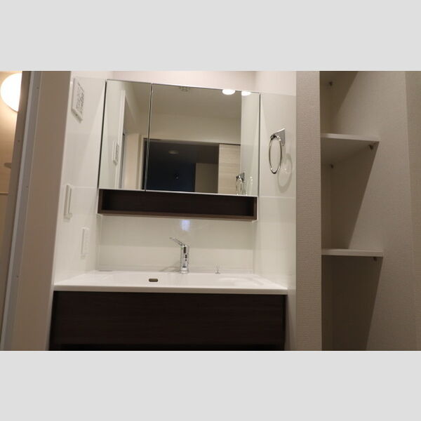 洗面所 (洗髪洗面化粧台)
