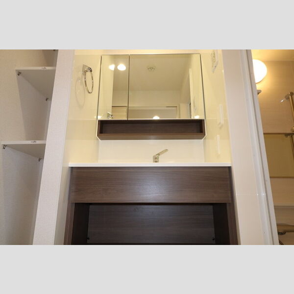 洗面所 (洗髪洗面化粧台)