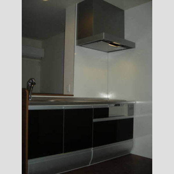 キッチン (キッチン(IHコンロ設置)※パネルの色は異なります)