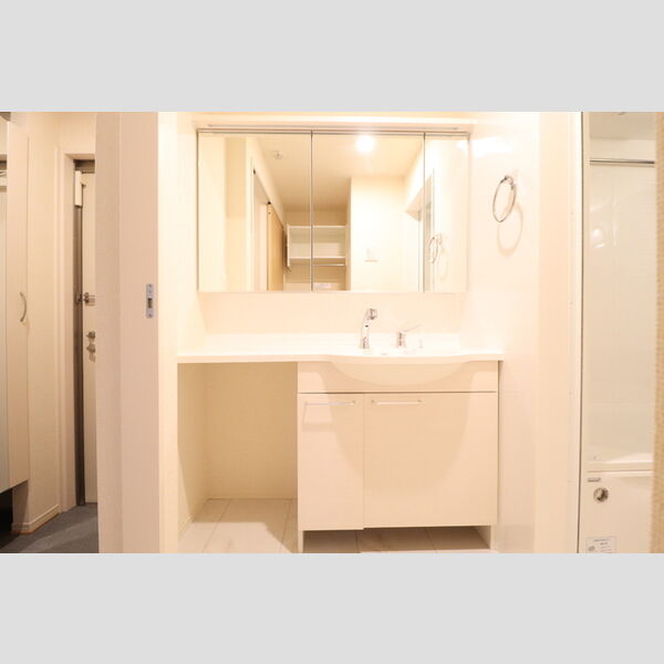 洗面所 (206　洗髪洗面化粧台)