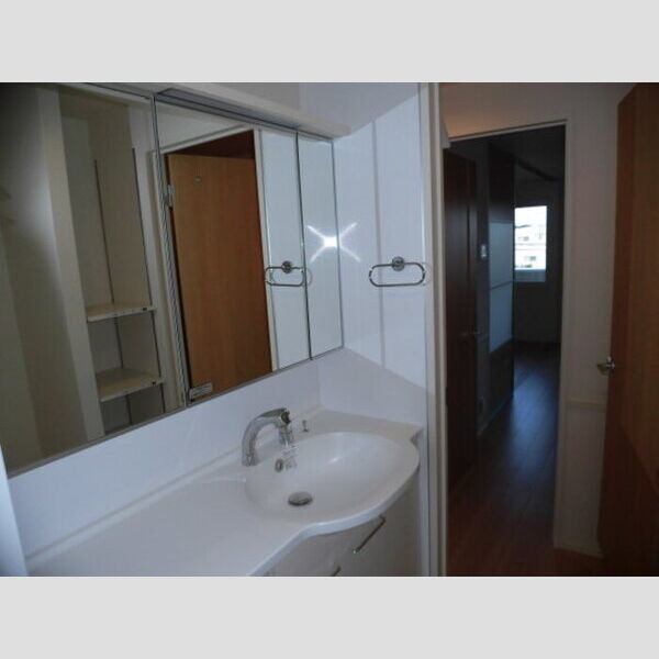 洗面所 (収納付き洗髪洗面化粧台)