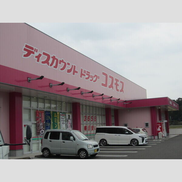 現地周辺 (ドラッグコスモス高鍋樋渡店 536m)