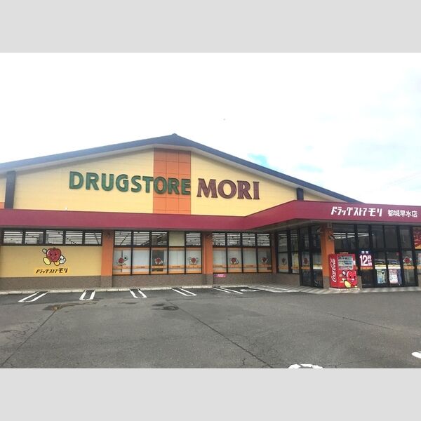 現地周辺 (ドラッグストアモリ 都城早水店)
