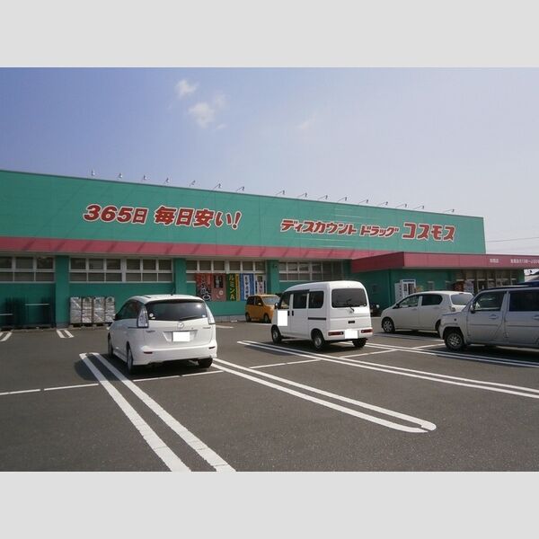 現地周辺 (ディスカウントドラッグコスモス(1,060m))