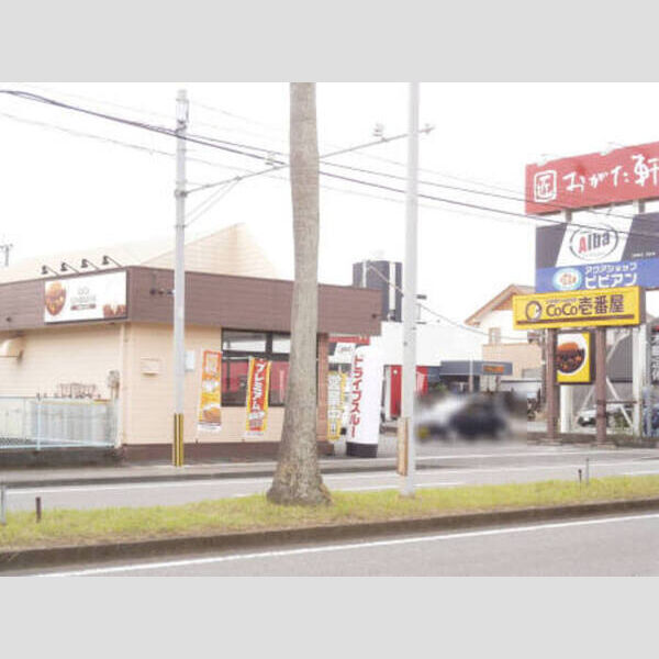 現地周辺 (CoCo壱番屋宮崎日の出町店　615m)