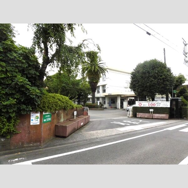 現地周辺 (宮崎市立小戸小学校　239m)