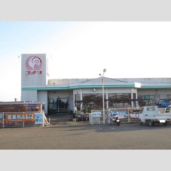 現地周辺 (コメリ　新富店)