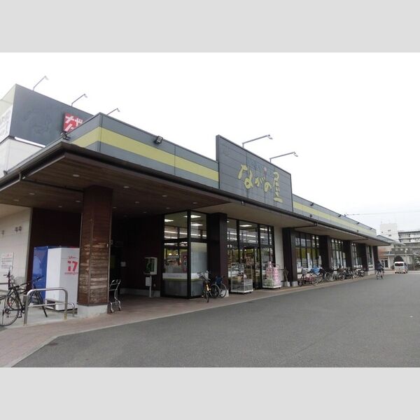 現地周辺 (ながの屋日向市駅前店)