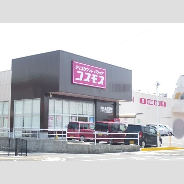 現地周辺 (ディスカウントドラッグコスモス曽師店)