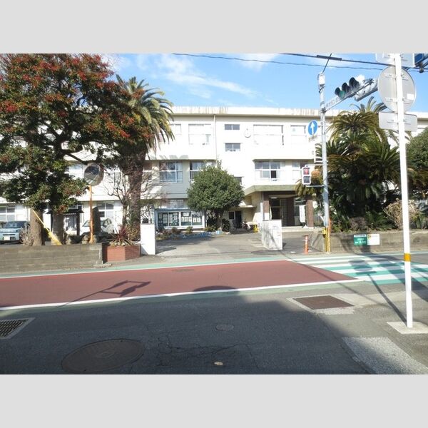 現地周辺 (宮崎市立大宮小学校　290m)