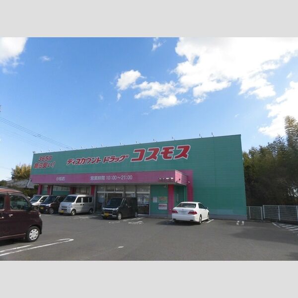 現地周辺 (ディスカウントドラッグコスモス小松店)