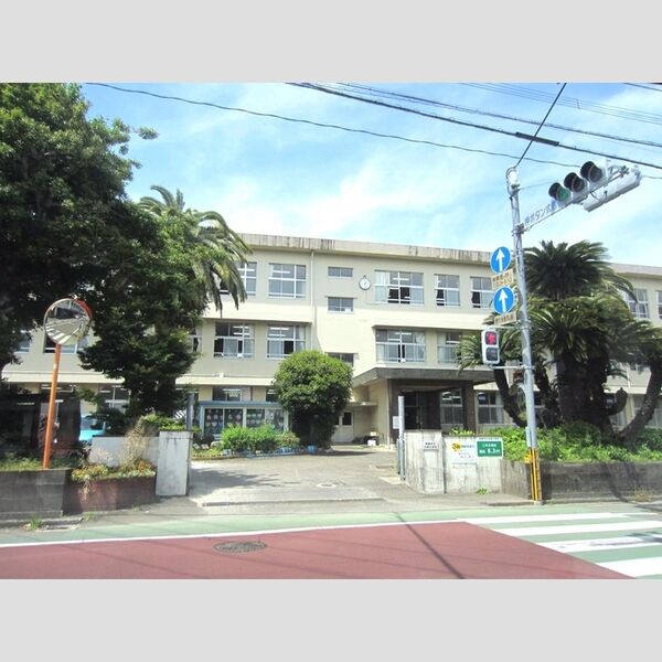 現地周辺 (宮崎市立大宮小学校　200m)