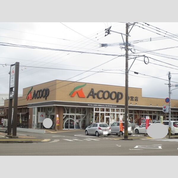 現地周辺 (Aコープ神宮店　1657m)