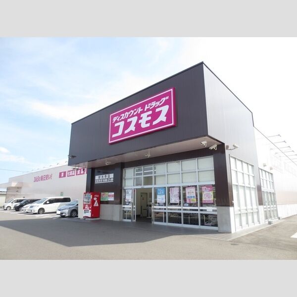 現地周辺 (ディスカウントドラッグコスモス財光寺店　810m)