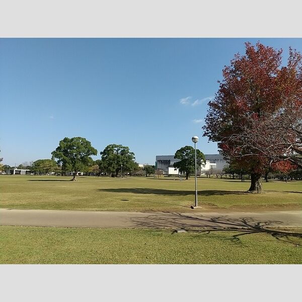 現地周辺 (宮崎県立総合文化公園 230m)