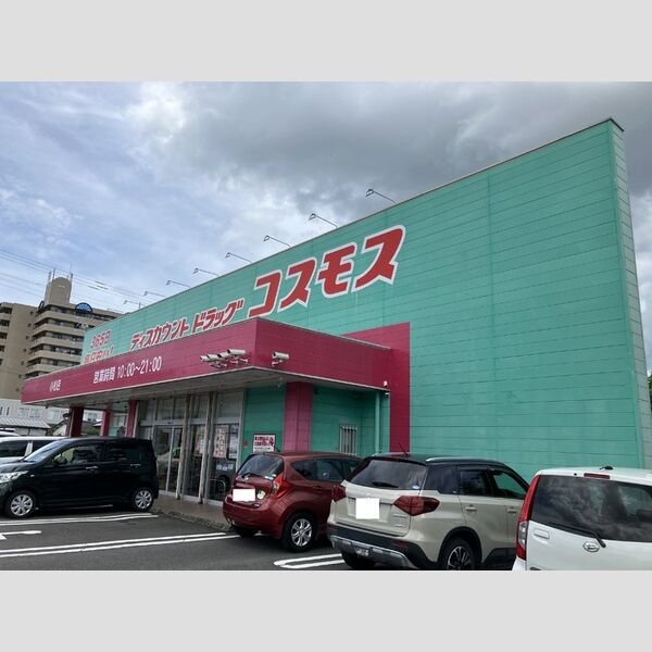 現地周辺 (ドラッグストアコスモス小松店　580m)