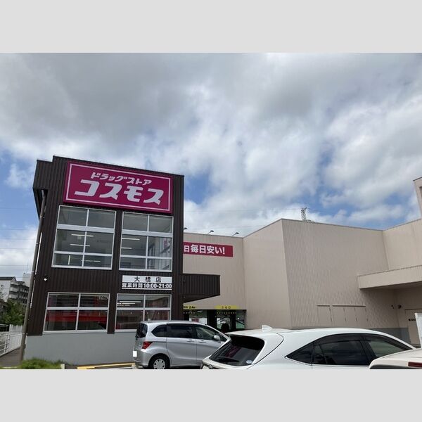 現地周辺 (ドラッグストアコスモス大橋店　440m)