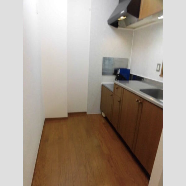 その他 (202　キッチンスペース)