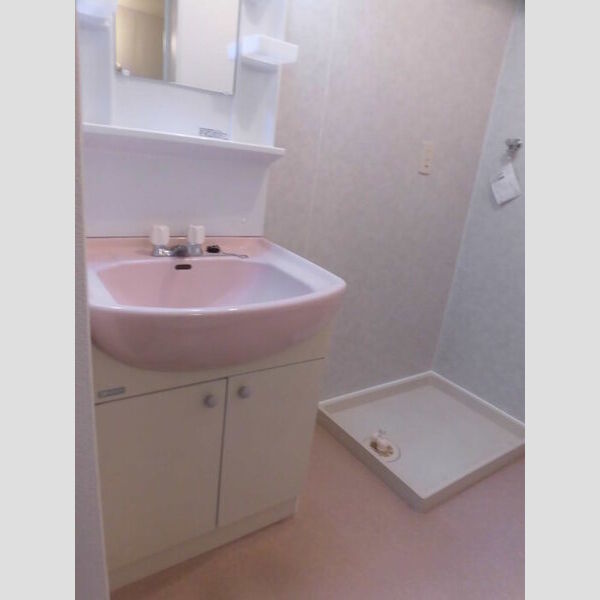 洗面所 (202　洗面化粧台・洗濯機置き場)