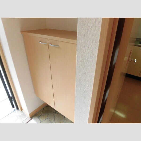 その他 (201　シューズBOX)
