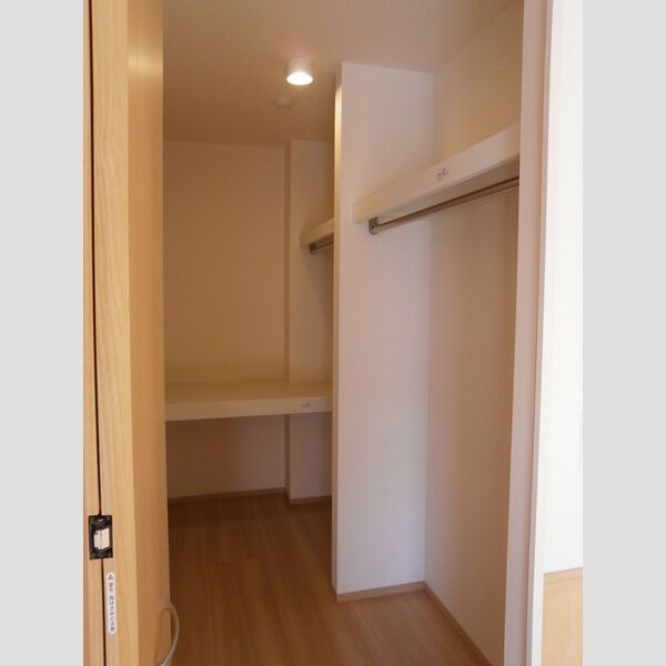 収納 (A203　ウォークインクローゼット)