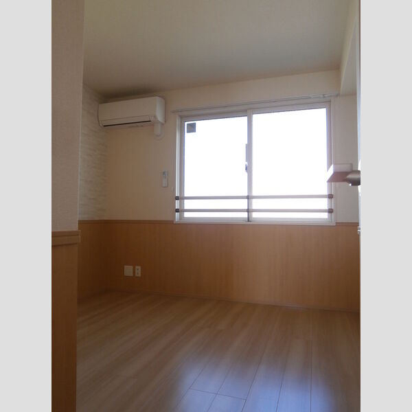 その他 (B207　エアコン付洋室)