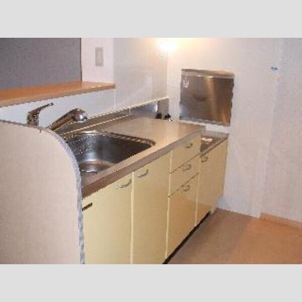 その他 (パークサイドハウス・T101)