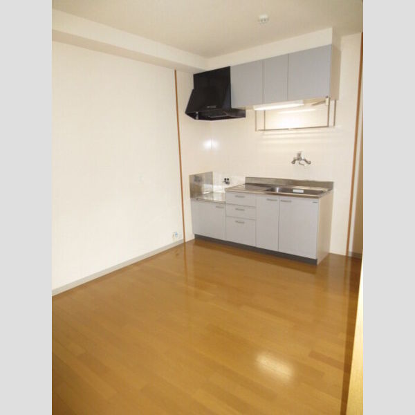 居室・リビング (203　LDK)