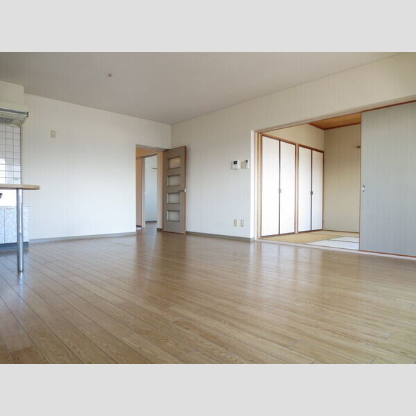 居室・リビング (301 LDK)