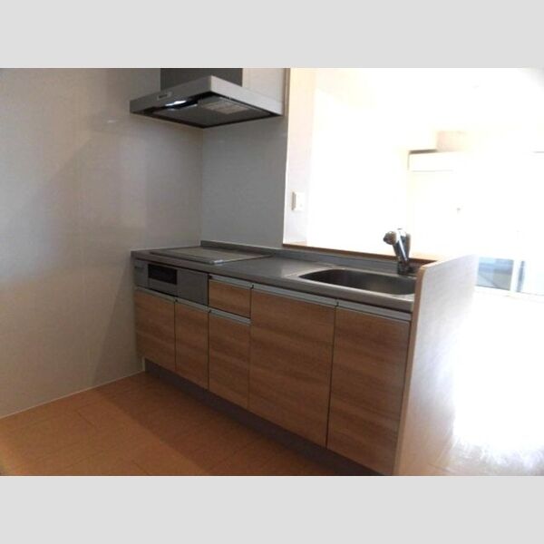 キッチン (B202　IH対応　対面カウンターキッチン)