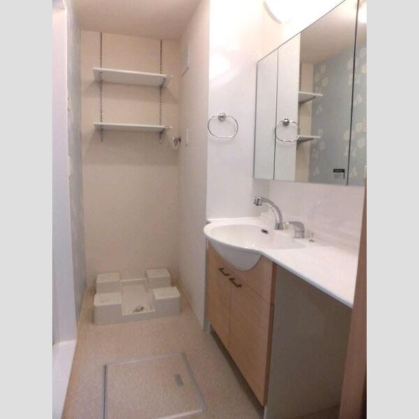 洗面所 (B202　洗髪洗面化粧台・洗濯機置き場)