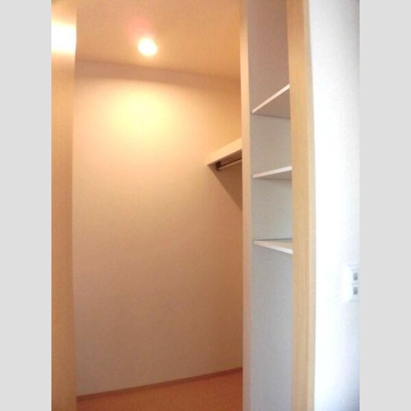 収納 (A102　ウォークインクローゼット)