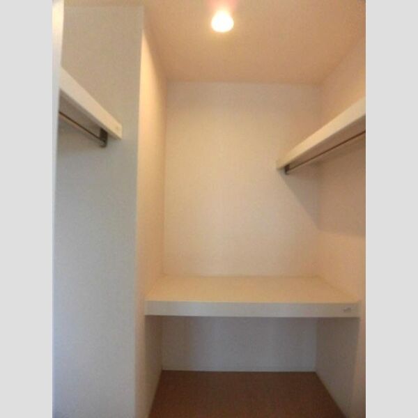 収納 (B107　ウォークインクローゼット)