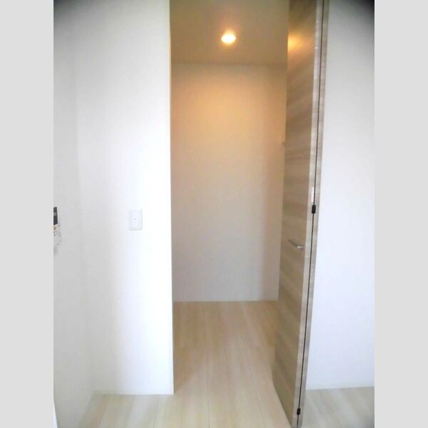 収納 (203　ウォークインクローゼット)