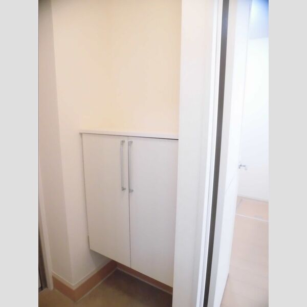 その他 (101　シューズボックス)