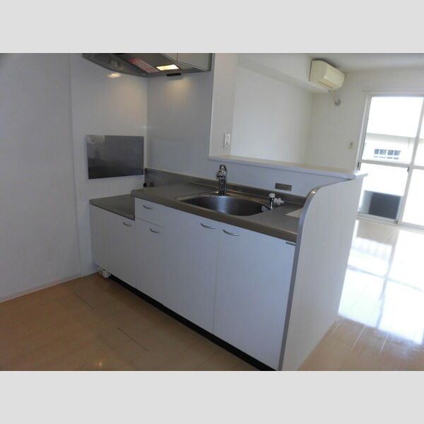 キッチン (203　対面キッチン)