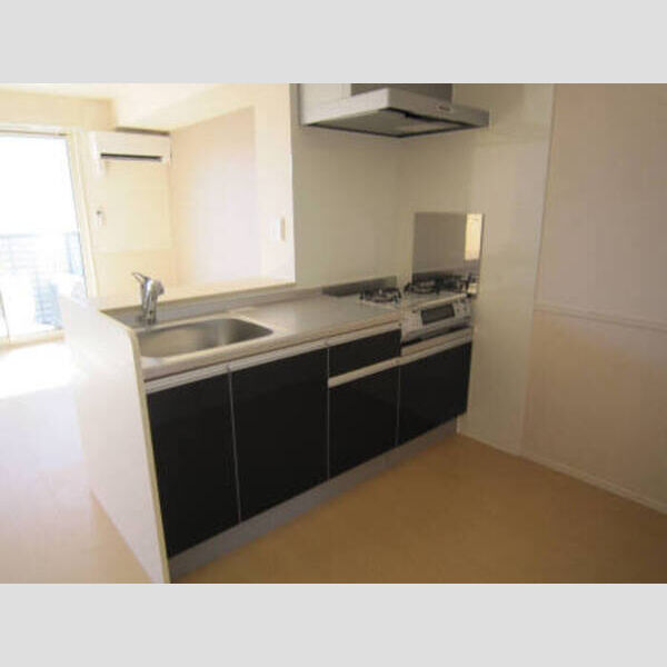 キッチン (Ⅱ201　キッチン)