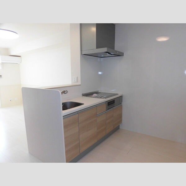 キッチン (203　対面キッチン)