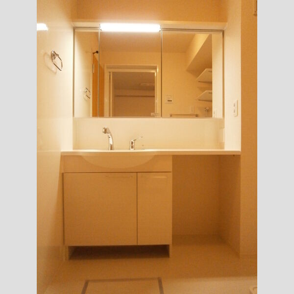 洗面所 (306 洗髪洗面化粧台)