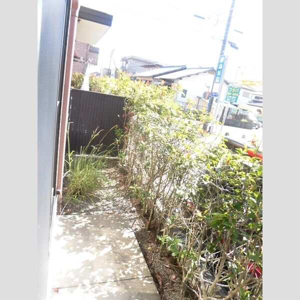 その他 (107 専用庭)