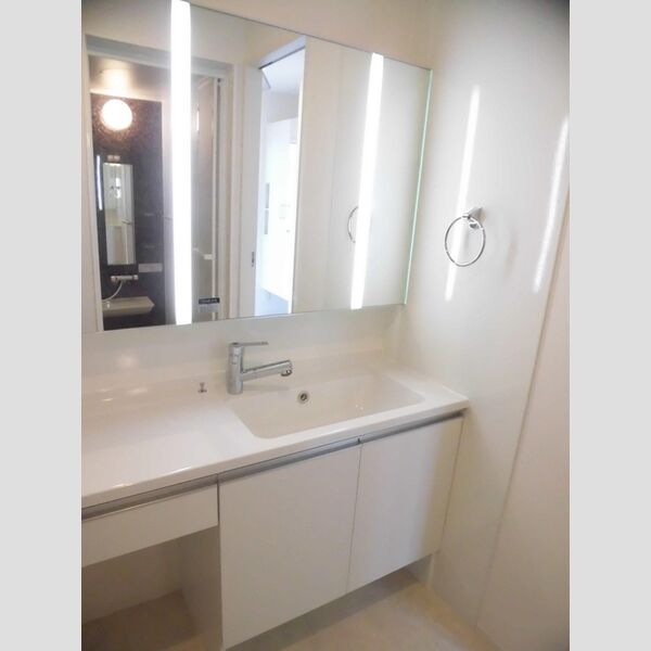 洗面所 (101　洗髪洗面化粧台)