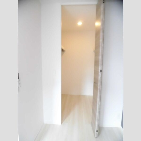 収納 (101　ウォークインクローゼット)